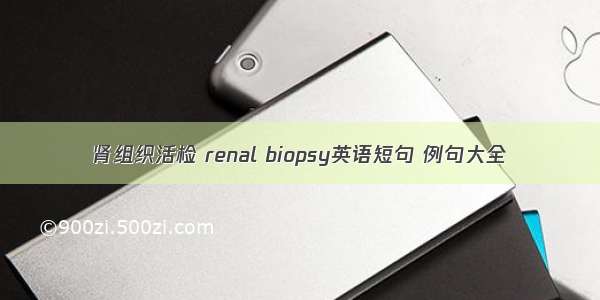 肾组织活检 renal biopsy英语短句 例句大全