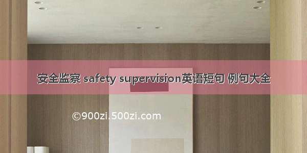 安全监察 safety supervision英语短句 例句大全