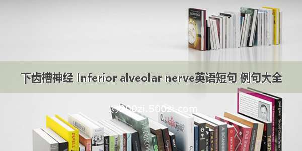 下齿槽神经 Inferior alveolar nerve英语短句 例句大全