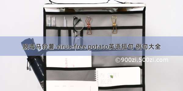 脱毒马铃薯 virus-free potato英语短句 例句大全