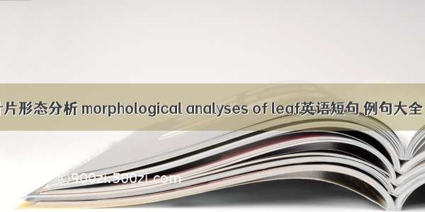 叶片形态分析 morphological analyses of leaf英语短句 例句大全