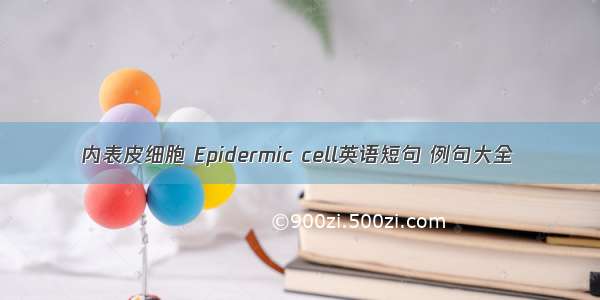 内表皮细胞 Epidermic cell英语短句 例句大全