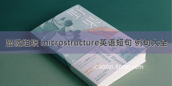 显微组织 microstructure英语短句 例句大全