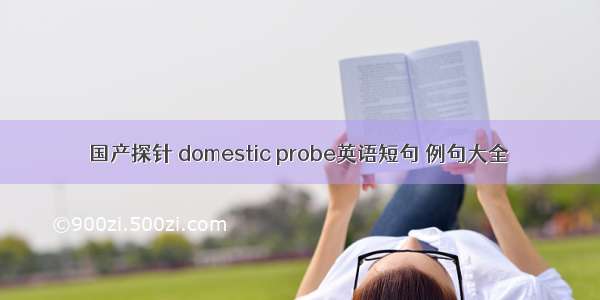 国产探针 domestic probe英语短句 例句大全