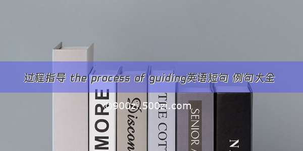 过程指导 the process of guiding英语短句 例句大全