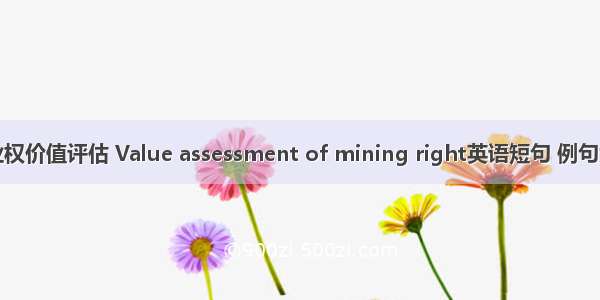矿业权价值评估 Value assessment of mining right英语短句 例句大全