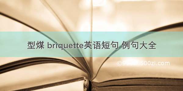 型煤 briquette英语短句 例句大全