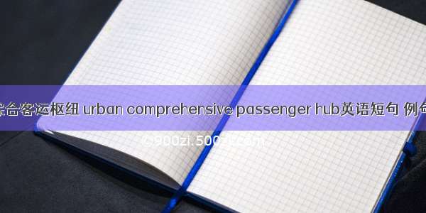 城市综合客运枢纽 urban comprehensive passenger hub英语短句 例句大全