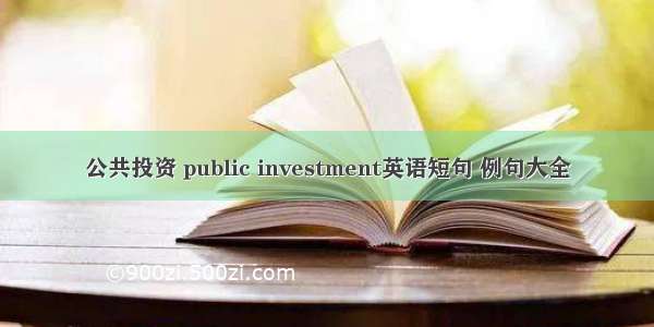 公共投资 public investment英语短句 例句大全