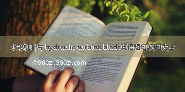 水轮机叶片 hydraulic turbine blade英语短句 例句大全