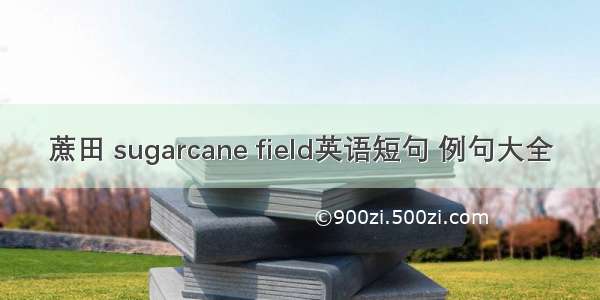 蔗田 sugarcane field英语短句 例句大全