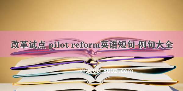 改革试点 pilot reform英语短句 例句大全