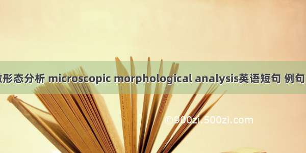 显微形态分析 microscopic morphological analysis英语短句 例句大全