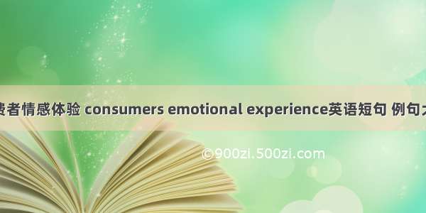 消费者情感体验 consumers emotional experience英语短句 例句大全