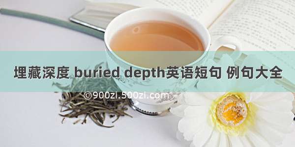 埋藏深度 buried depth英语短句 例句大全