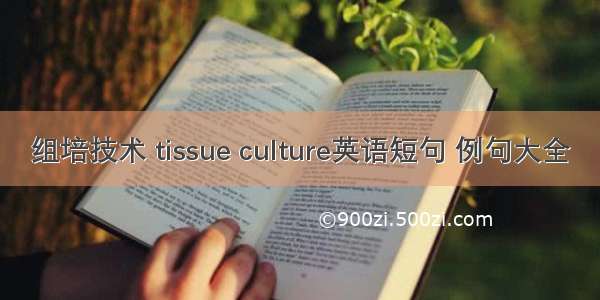 组培技术 tissue culture英语短句 例句大全