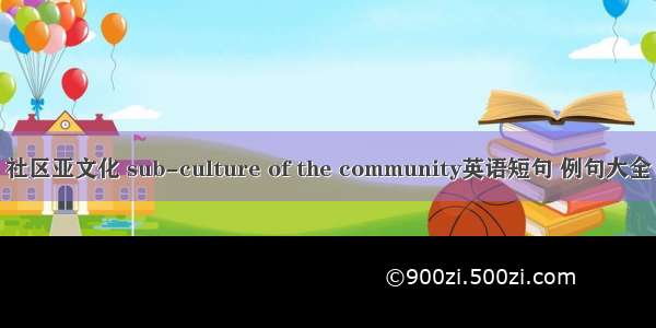 社区亚文化 sub-culture of the community英语短句 例句大全