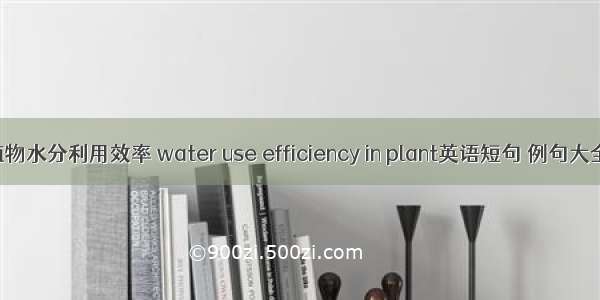 植物水分利用效率 water use efficiency in plant英语短句 例句大全