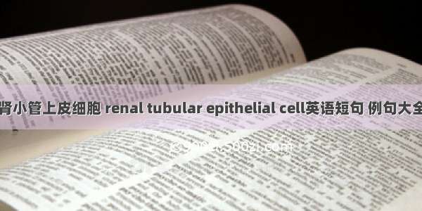 肾小管上皮细胞 renal tubular epithelial cell英语短句 例句大全