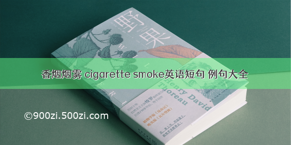 香烟烟雾 cigarette smoke英语短句 例句大全