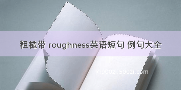 粗糙带 roughness英语短句 例句大全