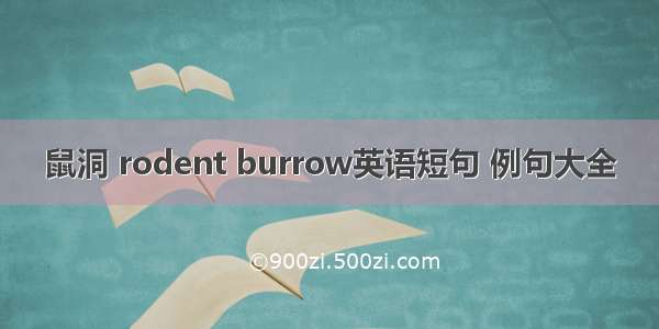 鼠洞 rodent burrow英语短句 例句大全