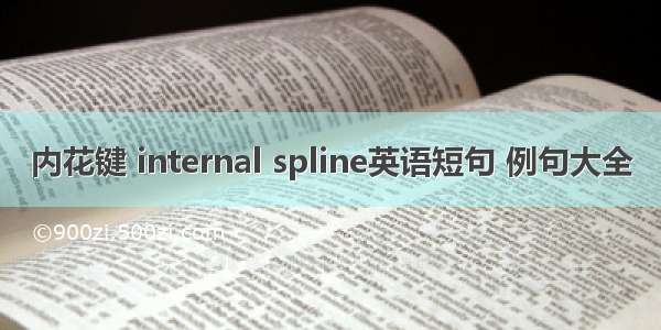 内花键 internal spline英语短句 例句大全