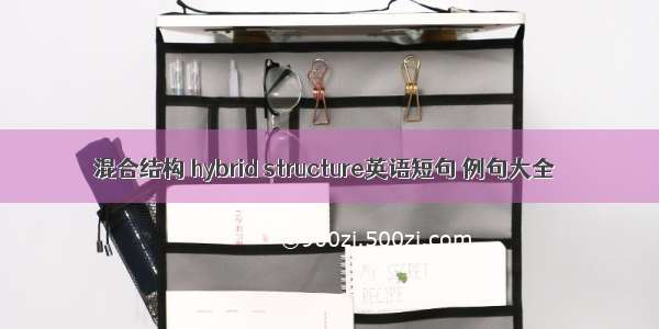 混合结构 hybrid structure英语短句 例句大全