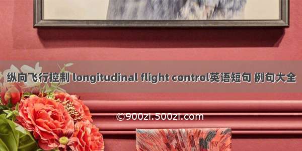 纵向飞行控制 longitudinal flight control英语短句 例句大全