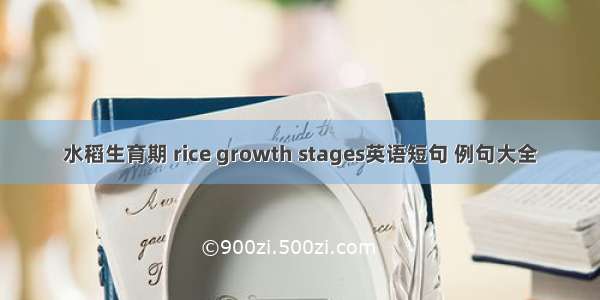 水稻生育期 rice growth stages英语短句 例句大全