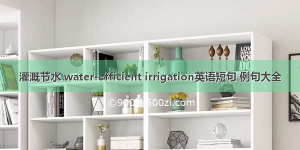 灌溉节水 water-efficient irrigation英语短句 例句大全