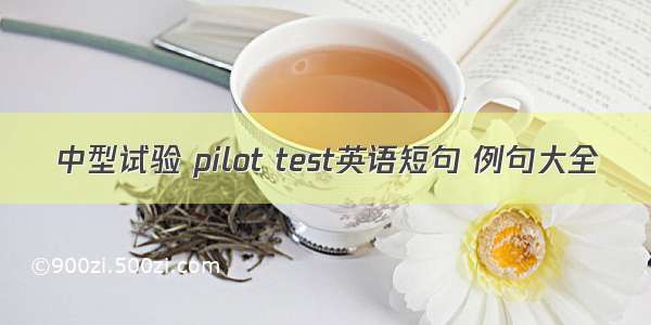 中型试验 pilot test英语短句 例句大全