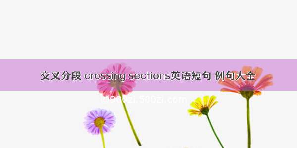 交叉分段 crossing sections英语短句 例句大全