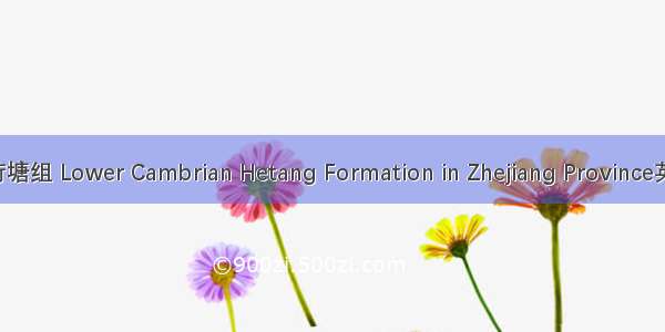 浙江省下寒武统荷塘组 Lower Cambrian Hetang Formation in Zhejiang Province英语短句 例句大全