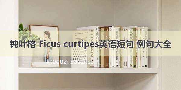 钝叶榕 Ficus curtipes英语短句 例句大全