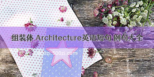 组装体 Architecture英语短句 例句大全