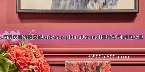 城市快速轨道交通 urban rapid rail transit英语短句 例句大全