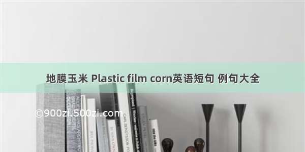 地膜玉米 Plastic film corn英语短句 例句大全