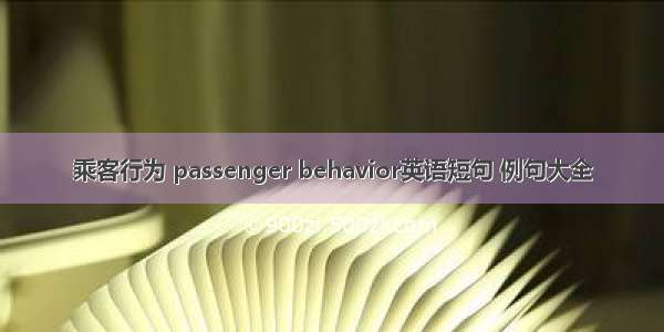 乘客行为 passenger behavior英语短句 例句大全