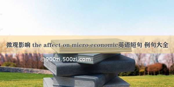 微观影响 the affect on micro economic英语短句 例句大全