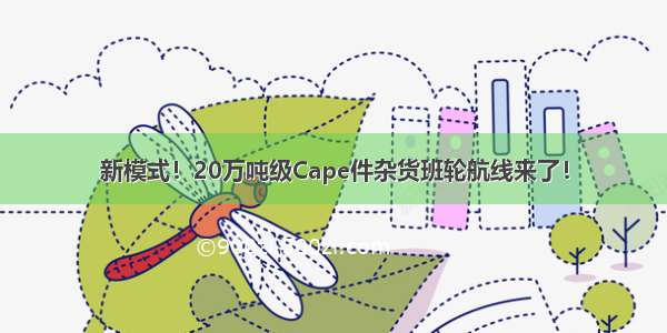 新模式！20万吨级Cape件杂货班轮航线来了！