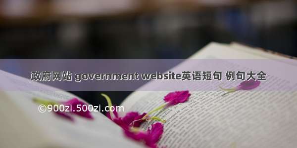 政府网站 government website英语短句 例句大全