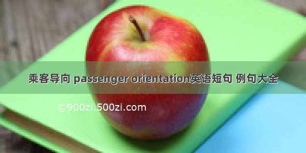 乘客导向 passenger orientation英语短句 例句大全