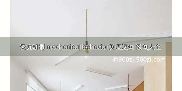 受力机制 mechanical behavior英语短句 例句大全