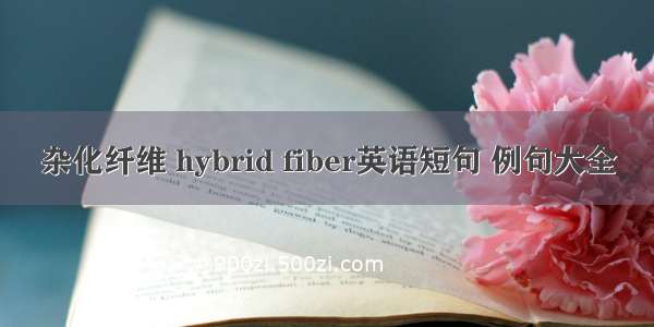 杂化纤维 hybrid fiber英语短句 例句大全