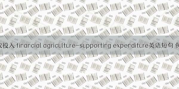 财政支农投入 financial agriculture-supporting expenditure英语短句 例句大全