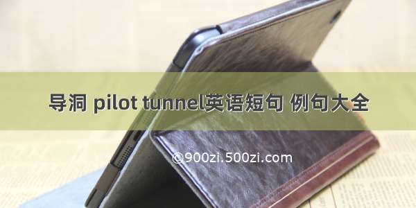 导洞 pilot tunnel英语短句 例句大全