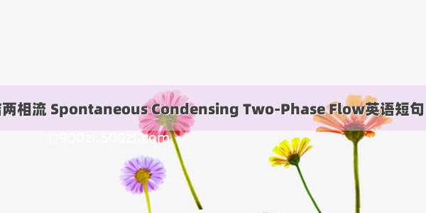 自发凝结两相流 Spontaneous Condensing Two-Phase Flow英语短句 例句大全