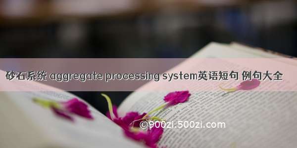 砂石系统 aggregate processing system英语短句 例句大全