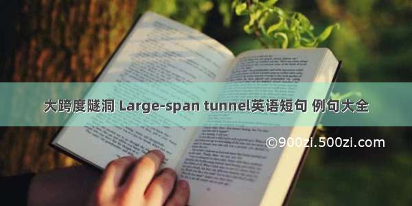 大跨度隧洞 Large-span tunnel英语短句 例句大全